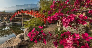 Экскурсии в `Японский сад "Шесть чувств" в отеле "Мрия"` из с. Береговое