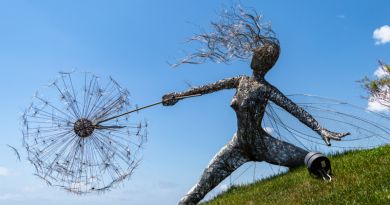 Точка притяжения туристов — винный парк Мрия