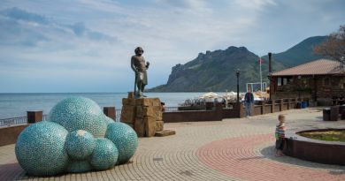 Экскурсия из Феодосии: Коктебельский дельфинарий фото 12701
