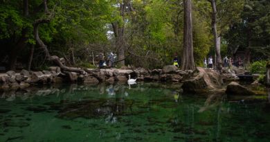 Экскурсия из Феодосии: Южный берег Крыма фото 12844 Экскурсия из Феодосии: Южный берег Крыма фото 12844