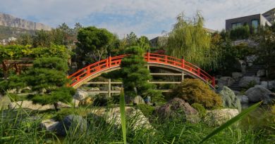 Экскурсии в Японский сад "Шесть чувств" в отеле "Мрия" из с. Береговое 2024