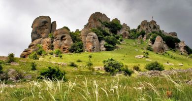 Экскурсия из Феодосии: Крымская Саксония - Южная Демерджи фото 5944