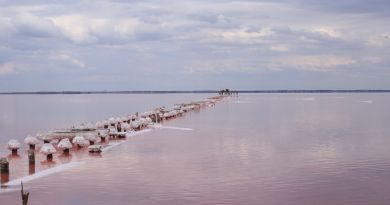 Экскурсии в Озеро Сасык-Сиваш (розовое озеро) из с. Береговое 2024